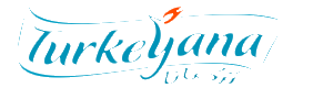 نظام مبيعات تركيانا